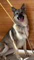 LOBITA Image 1